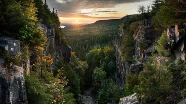 cool mountain views accompanied. better birds bangan video background 