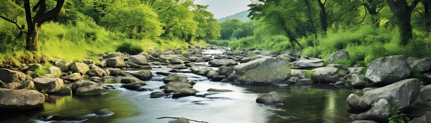 a beautiful river flowing through a forest