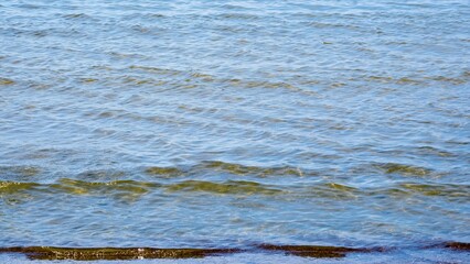 Reflections of clear water on a shallow sandy beach bottom. Clear water. Sandy shore.