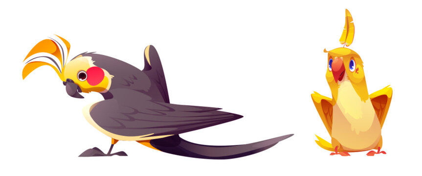 Cute cartoon parrot with colorful feathers. Vector illustration set of tropical birds mascot. Exotic jungle standing yellow and grey birdie with beak and wings. Wild cheerful animal .with funny faces