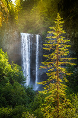 Gorgeous Light on Tamanawas Falls near Mt Hood, Mt Hood National Forest, Oregon