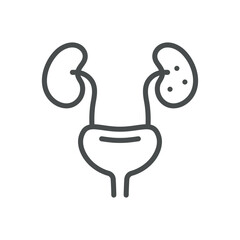 Diabetic Nephropathy Icon. Vector Line Illustration of Kidneys and Bladder, Kidney Disease Caused by Diabetes, Deterioration of Kidney Function. Isolated Outline Medical Sign.