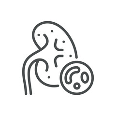 Kidney Infection Abscess Icon. Vector Linear Illustration of Kidney with Bacterial Infection, Representing Abscess and Kidney Infection. Isolated Outline Medical Sign.