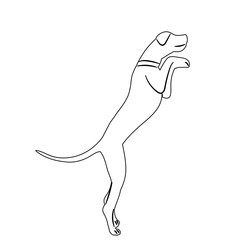 dog jumping sketch on white background vector