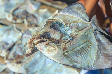 Dried salted fish in open space at Omadal island, an island mainly inhabited by sea Bajau.