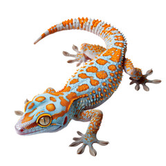 Obraz premium Vibrant Tokay Gecko on Colorful Background.