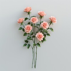 Bunch of pink roses isolated on white background