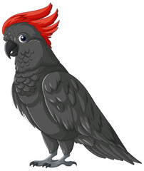 Vector illustration of a grey parrot with red crest