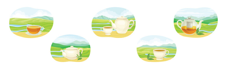 Tea Green Terrace Field Plantation with Hot Aromatic Beverage Brewing Vector Set
