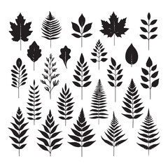 Silhouettes set of black Leaf Inked. Vector isolated illustration