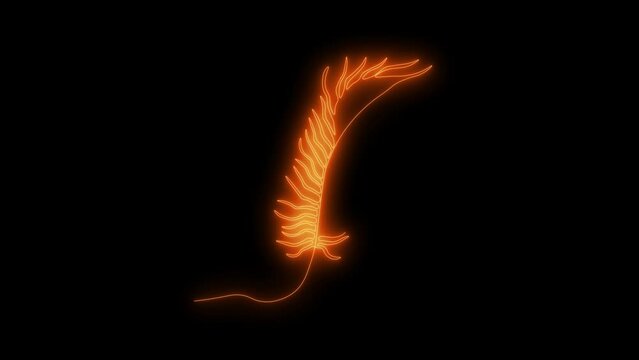 Self drawing animation one continuous line draw, logo, peacock feather,Blazing orange flame, energy