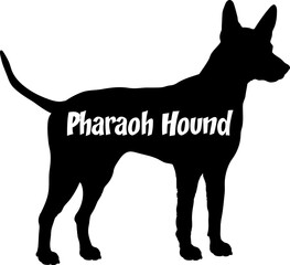 Pharaoh Hound. Dog silhouette dog breeds logo dog monogram vector