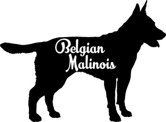  Belgian Malinois Dog silhouette dog breeds logo dog monogram vector