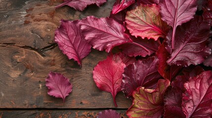 Obraz premium Beetroot leaves on a brown wooden surface