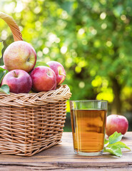 Ripe red apples and apple slice isolated on white background.