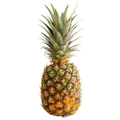 Fototapeta premium Ripe Whole Pineapple Isolated without Background