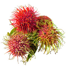 Fresh Rambutan Fruit Isolated Without Background, Exotic Tropical Produce.