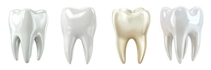 Set of white tooth isolated on a transparent or white background