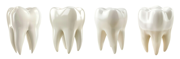 Set of white tooth isolated on a transparent or white background