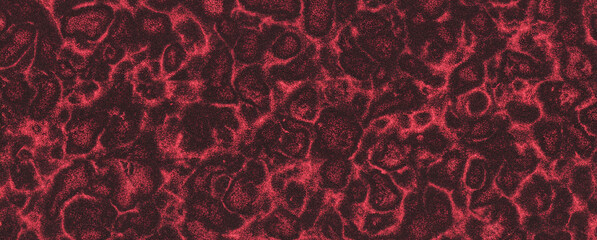 Red Abstract Texture Background Inspired by Casino Carpets