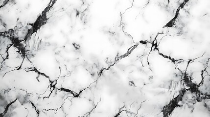 White marble texture with black veins.