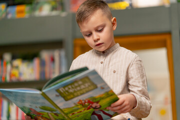 in bookstore in the children area a handsome little boy in light clothes reads a book