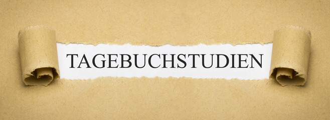 Tagebuchstudien
