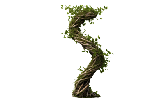 The Symbiotic Symmetry of Vines Spellbindingly Shape the Letter S on White or PNG Transparent Background.