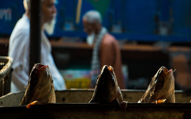 In Jatrabari, Dhaka, Bangladesh, vendors bustle with activity, selling fish at the busy wholesale...