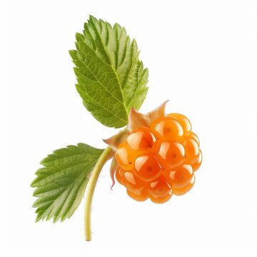 A small orange cloudberry resting on a plain white background
