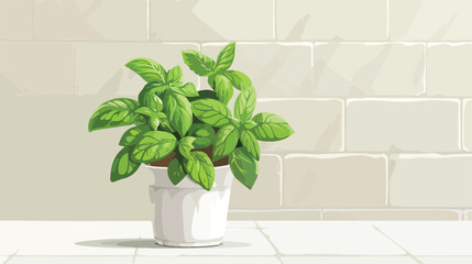 Pot with fresh green basil on white tile table Vector
