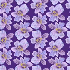 Fototapeta premium Seamless pattern of hand drawn delicate watercolor flowers floral lilac plants. Herb flower. Drawing summer Botanical greenery illustration on purple background. For fabric, wallpaper, wrapping