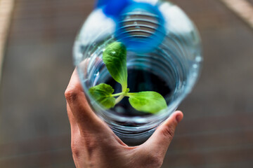 Seedling in a plastic bottle, reuse of materials, light, heat, reduction of disease, good...