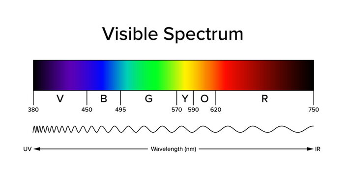 Diagram of the visible spectrum, band of electromagnetic spectrum, visible to the human eye. Light can produce spectral colors, a narrow band of wavelengths. Approximate and schematic illustration.