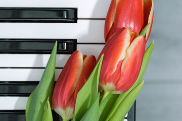 A keyboard with three red tulips in the foreground.