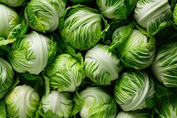 Top view of multiple green cabbage heads tightly packed together - Powered by Adobe