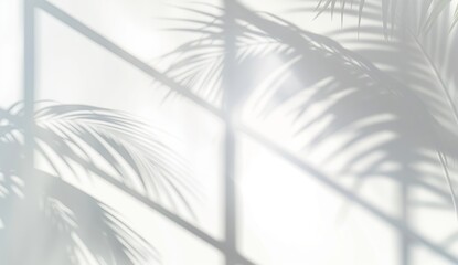 Abstract background with shadows of palm leaves 