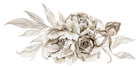 Hand drawn watercolor grisaille monochrome bouquet with peony, tulip, rose flowers, buds and leaves. Isolated on white background. Invitations, wedding or greeting cards, floral shop, print, textile