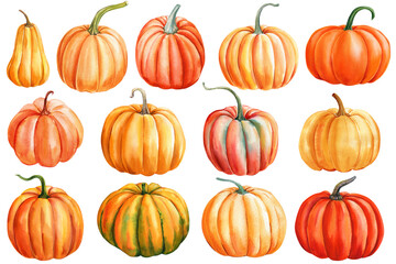 Pumpkins isolated white background. Watercolor hand-painted pumpkins set, Autumn botanical painting fall, orange pumpkin
