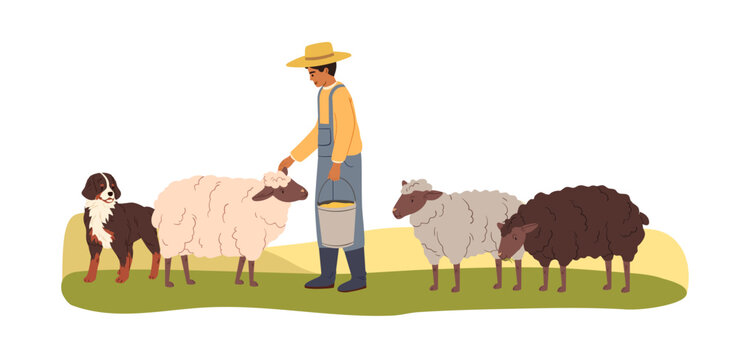 Farmer, herdsman with sheep, shepherd dog in countryside. Farm agriculture worker, sheepman and ewes at country field. Livestock breeding. Flat vector illustration isolated on white background