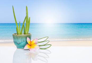 Aloe Vera plant in green ceramic cup with fresh slice and Plumeria flower over tropical beach...