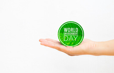 World environment day banner in girl hand with space on white background, world environmental day poster concept