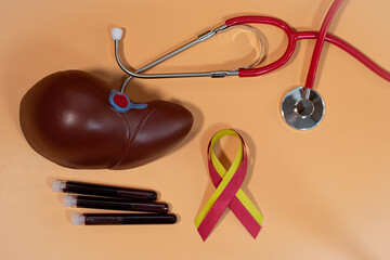 Human liver mockup, red and yellow ribbon, stethoscope and blood tests. World hepatitis day.