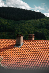 Rooftop, clay roof tiles and chimneys on top of a house