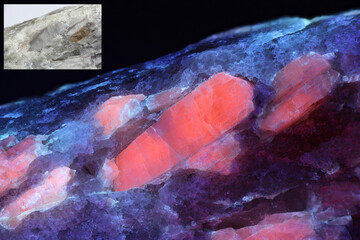 Crystals of major industrial lithium ore spodumene showing red fluorescence in ultraviolet light...