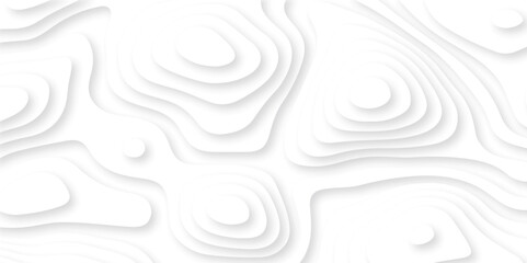 Abstract white paper cut background with lines. White wave paper curved reliefs abstract background. Realistic papercut decoration textured with wavy layers. Abstract wavy line 3d paper cut white.