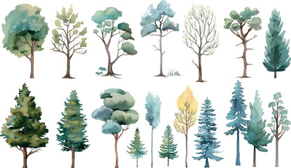 Tree watercolor, Side view green painting, set of graphics trees elements outline symbol for architecture and landscape design drawing. Vector illustration in stroke fill . Tropical, oak, maple