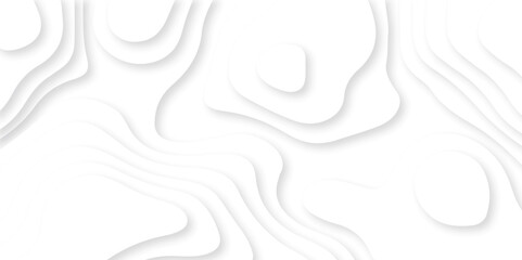 Abstract white paper cut background with lines. White wave paper curved reliefs abstract background. Realistic papercut decoration textured with wavy layers. Abstract wavy line 3d paper cut white.