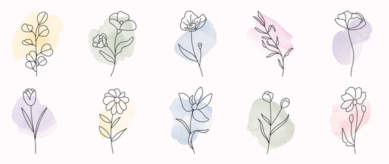 Minimal botanical hand drawing design for logo and wedding invitation. Floral line art. Flower and leaves on watercolor background design collection for bouquets decoration, packaging, branding. 
