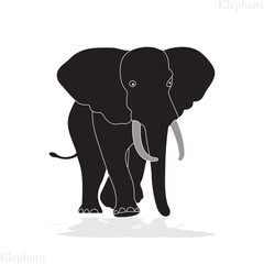 Elephant Silhouette White Background. Vector 
